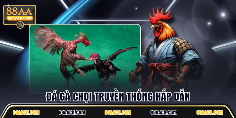 Đá gà chọi truyền thống hấp dẫn