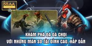 Khám Phá Đá Gà Chọi Với Những Màn So Tài Đỉnh Cao, Hấp Dẫn