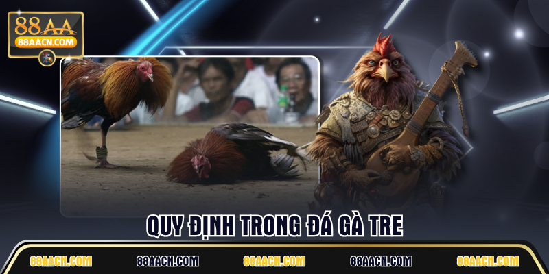 Quy định trong đá gà tre